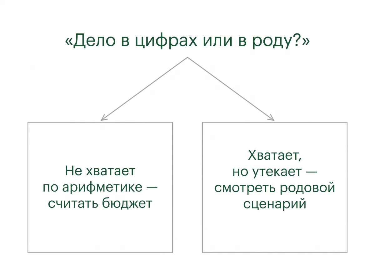 Схема, дело в цифрах или в роду: два пути разбора нехватки денег